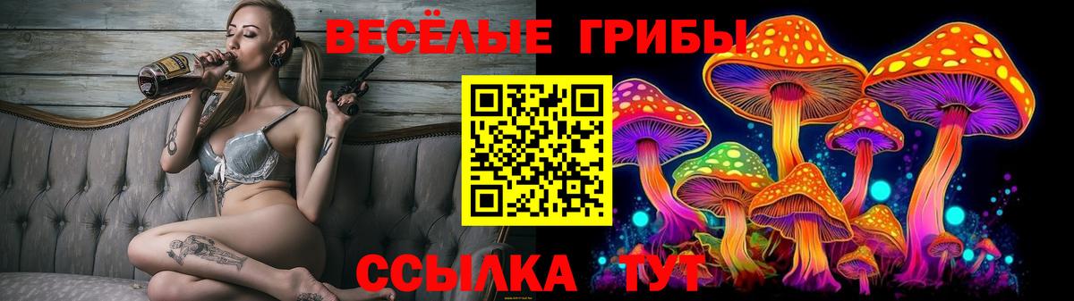 Галлюциногенные грибы прущие грибы  Вход с VPN  как найти наркотики  Чернушка 