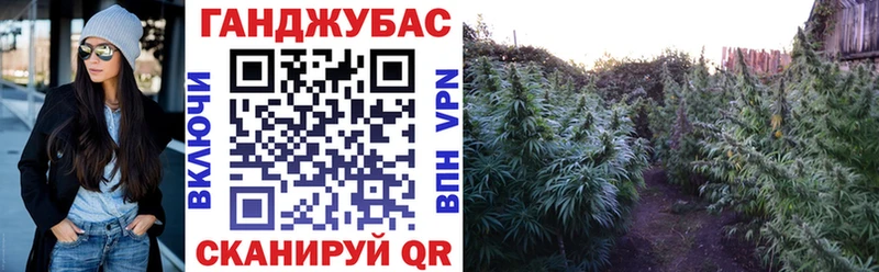 Каннабис OG Kush  Чернушка 
